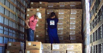 TRE-CE -Transporte de urnas eletrônicas em Fortaleza Transporte das urnas eletrônicas para os locais de votação em Fortaleza, no 2º turno