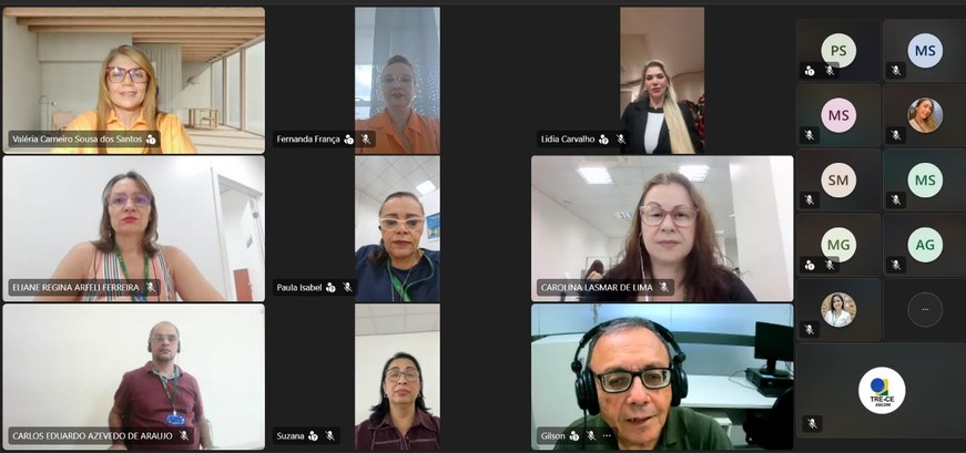 A imagem mostra a tela de uma reunião virtual realizada pelo Microsoft Teams, com os participant...