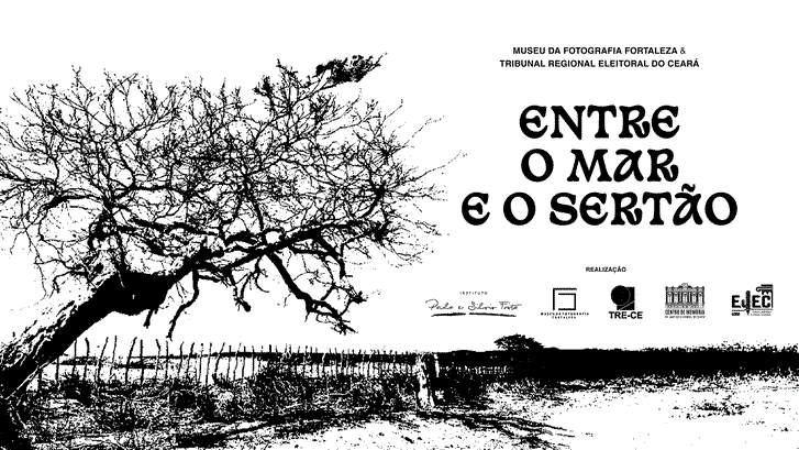 A imagem, em alto contraste preto e branco, mostra uma árvore sem folhas com tronco retorcido no...