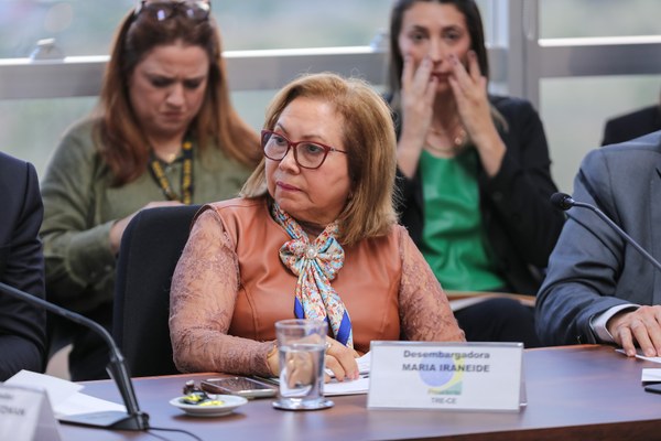 Presidente do TRE-CE participa de reunião estratégica no TSE sobre o 2º turno das Eleições 2026