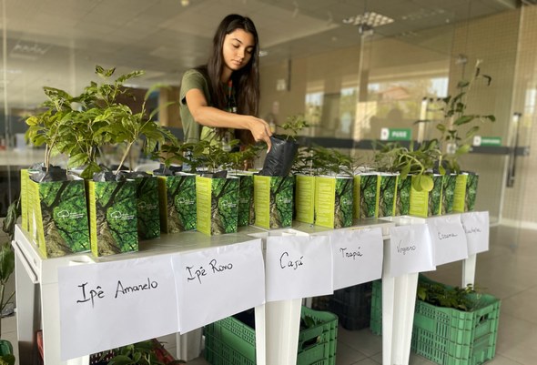 Raízes da sustentabilidade e consumo consciente são temas de palestra no TRE do Ceará O registro destaca uma mesa sobre a qual estão dispostas diversas mudas de plantas. Na parte fro...